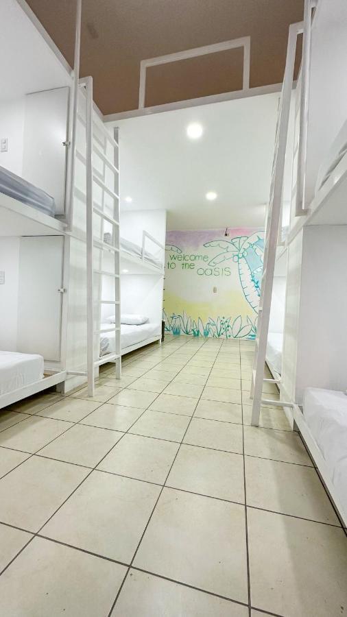 Sjo Oasis Hostel سان هوزيه المظهر الخارجي الصورة