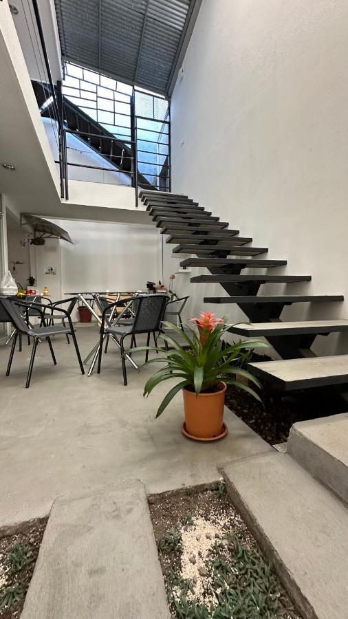 Sjo Oasis Hostel سان هوزيه المظهر الخارجي الصورة